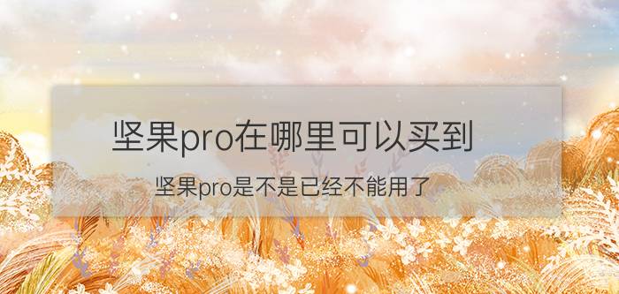 坚果pro在哪里可以买到 坚果pro是不是已经不能用了？